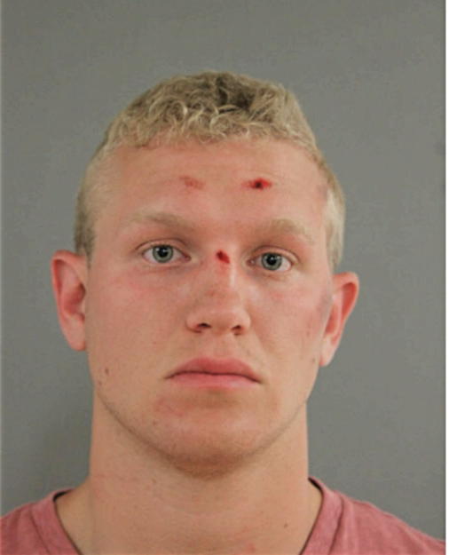 NICHOLAS C BASCOM, Cook County, Illinois
