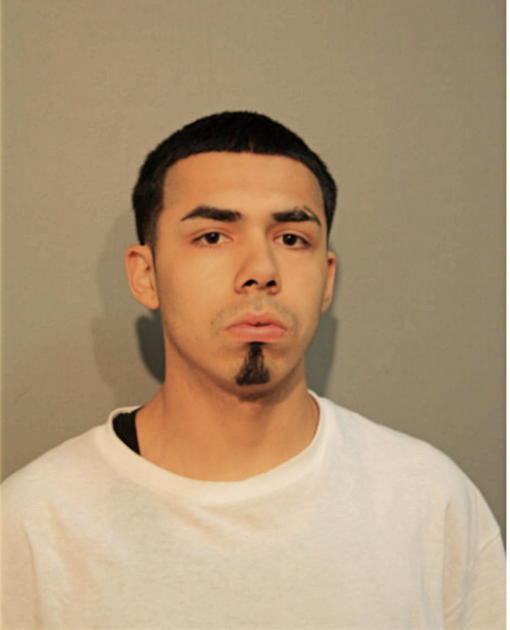 VICTOR BRISENO, Cook County, Illinois