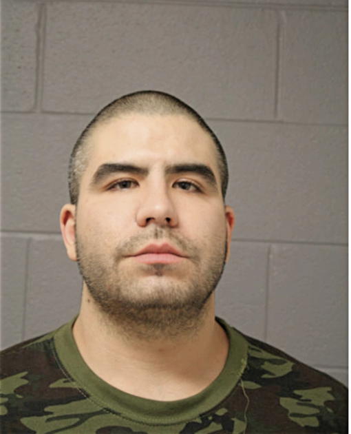 MARTIN A FAVELA, Cook County, Illinois
