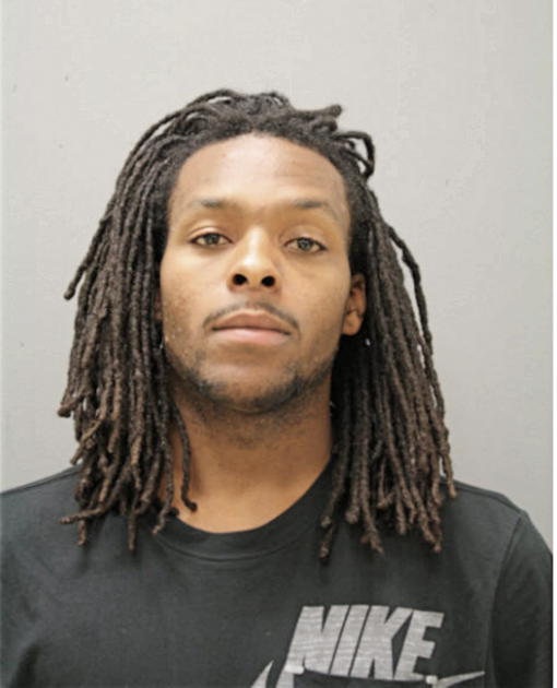 MATTHEW D HOLMAN, Cook County, Illinois