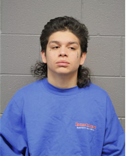 JORGE I LINDO, Cook County, Illinois