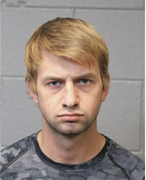 ILYA OGORODNIYCHUK, Cook County, Illinois