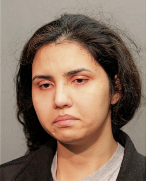 AMNA RAI, Cook County, Illinois