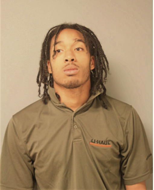 CHRISTIAN D REESE, Cook County, Illinois