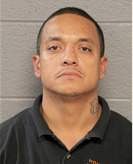 MARIO J REYES, Cook County, Illinois