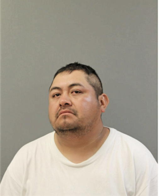 RICARDO ROA, Cook County, Illinois