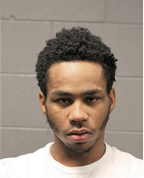 ERIC R ROBERSON, Cook County, Illinois