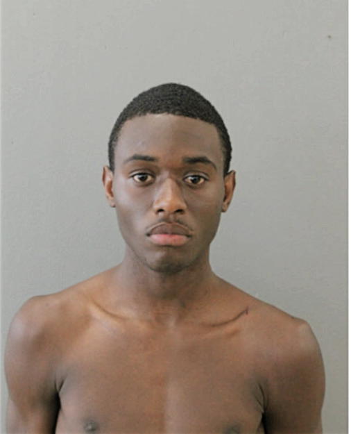 JERMAINE J ROBINSON, Cook County, Illinois
