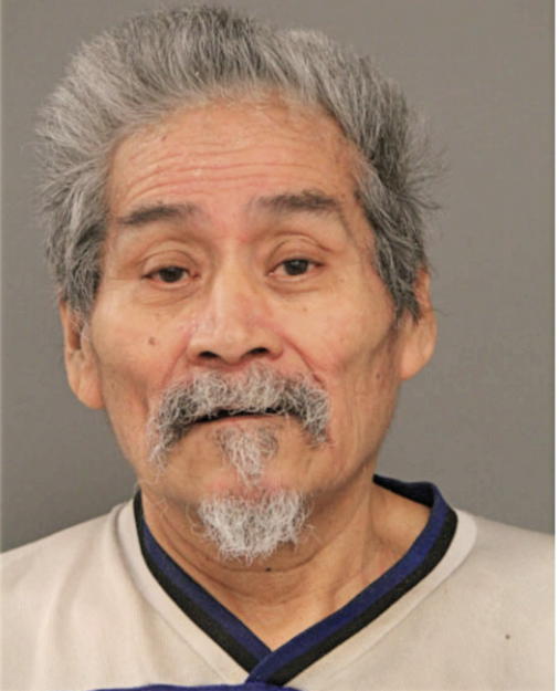 SILVESTRE ROMAN, Cook County, Illinois