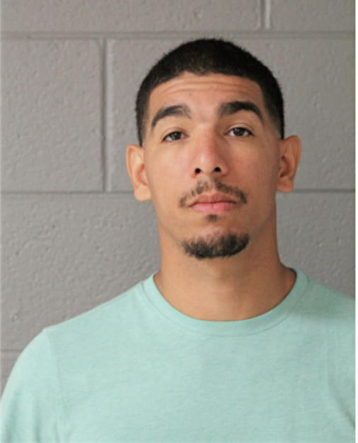 HECTOR LUIS SALGADO, Cook County, Illinois