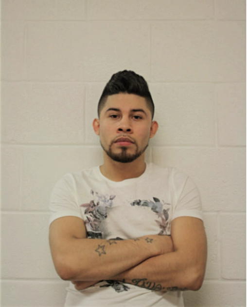 JULIO C SANCHEZ, Cook County, Illinois