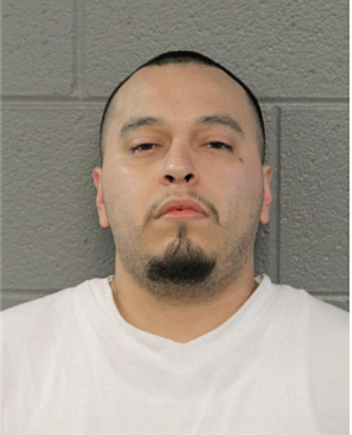 NOEL SANCHEZ, Cook County, Illinois