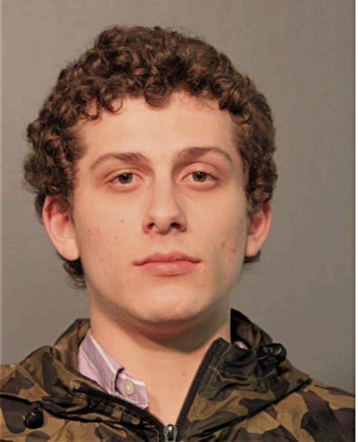 PAOLO A SIERRA, Cook County, Illinois