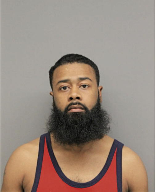 CHRISTIAN N STEPHENSON, Cook County, Illinois