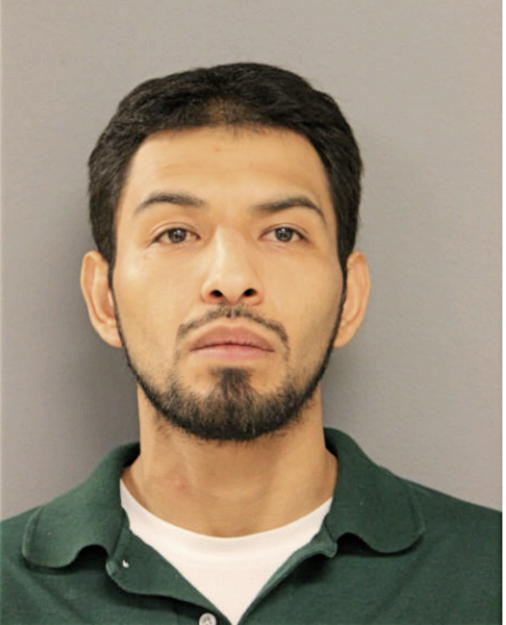 CARLOS L UGARTE, Cook County, Illinois