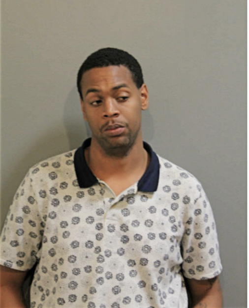 DAVID M WILSON, Cook County, Illinois