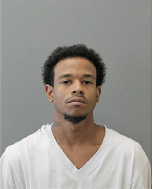 HENRY S BARNES, Cook County, Illinois