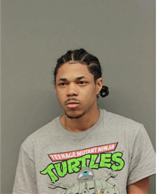 LAMONT COLLINS, Cook County, Illinois
