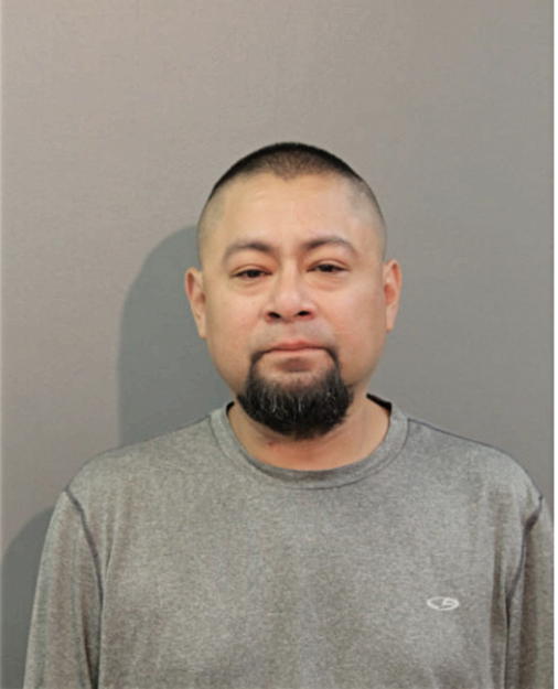JULIO DIAZ, Cook County, Illinois