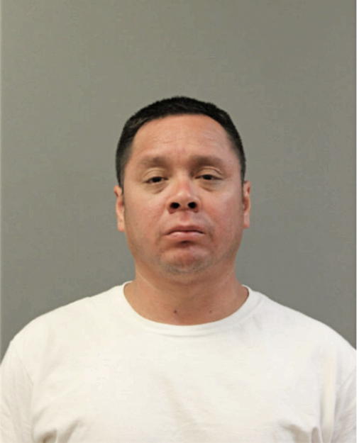 ANDRES FERNANDEZ, Cook County, Illinois