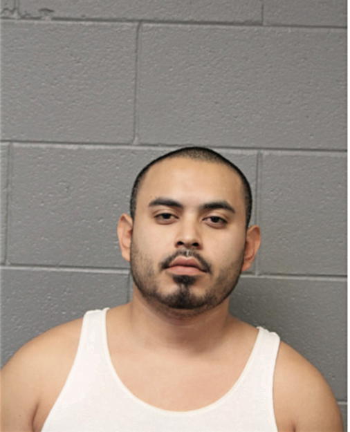 JOE R GONZALEZ, Cook County, Illinois