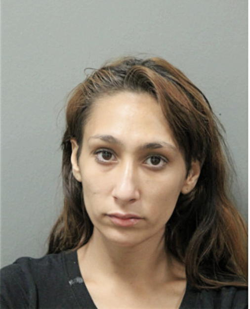 ASHLEY N GOODMAN, Cook County, Illinois