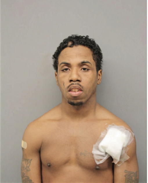 MICHAEL R HAMPTON, Cook County, Illinois