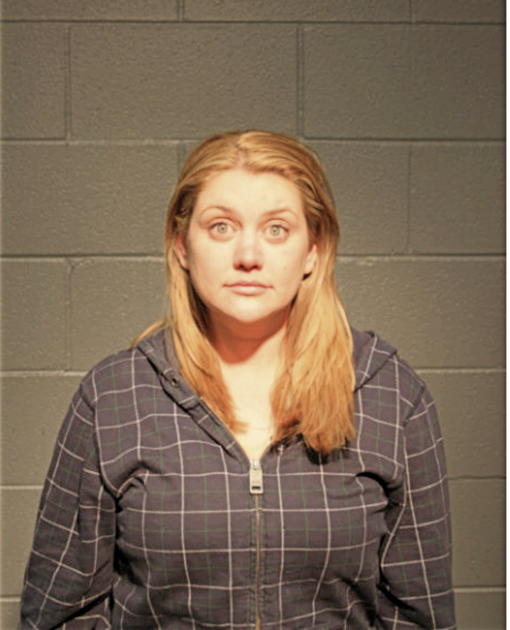 ELIZABETH M HEINEMANN, Cook County, Illinois