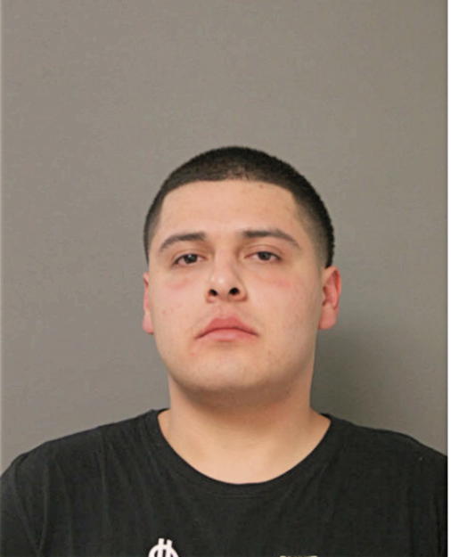 ALBERTO A HERNANDEZ, Cook County, Illinois