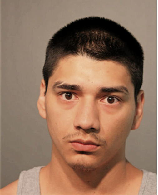 JONATHAN C LOEZA, Cook County, Illinois