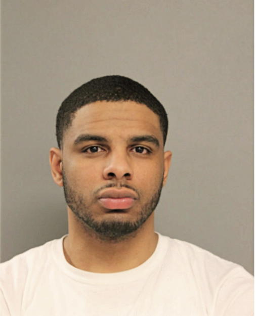 BRANDON C MCNEIL, Cook County, Illinois