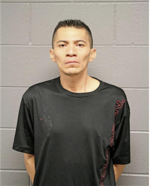 DELGADO MODESTO, Cook County, Illinois