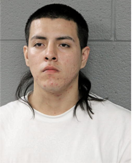 EDWIN NIETO, Cook County, Illinois