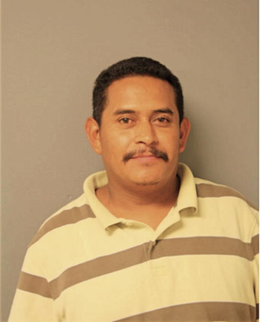 LUIS C NIEVES LOZANO, Cook County, Illinois