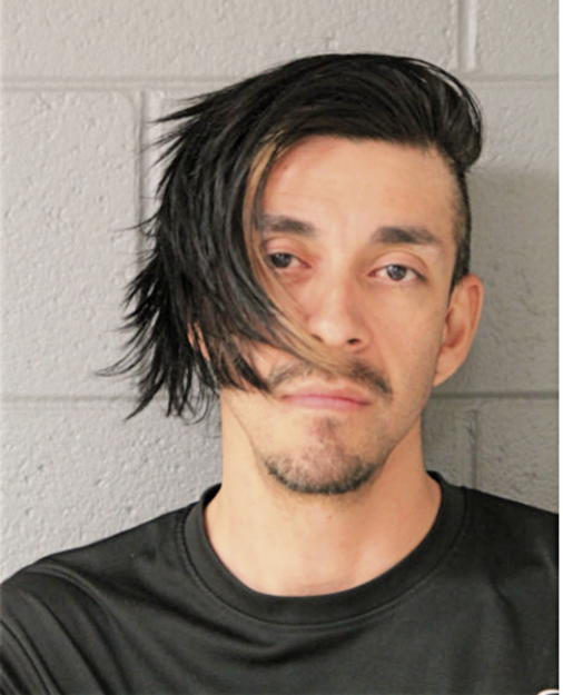 DAVID VICTOR PAVON, Cook County, Illinois