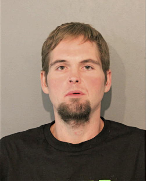 DANIEL A PETERSON, Cook County, Illinois