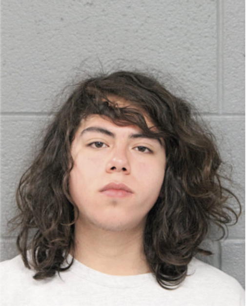 DAVID J QUINONEZ, Cook County, Illinois