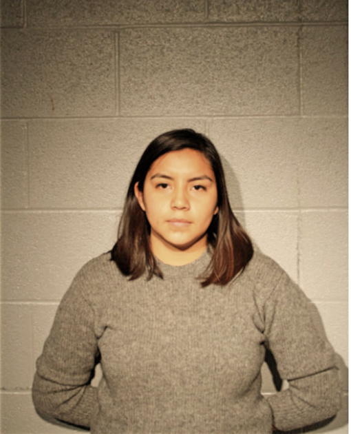 ALYSSA ALEXANDRA RODRIGUEZ, Cook County, Illinois
