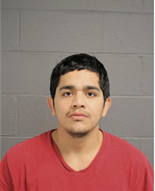 ERIC S RODRIGUEZ, Cook County, Illinois