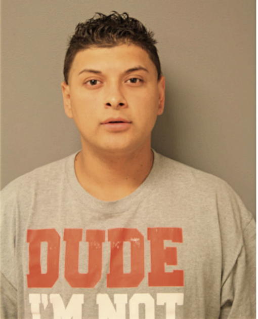 JESUS ROMO, Cook County, Illinois