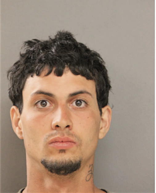 LUIS A RUIZ, Cook County, Illinois