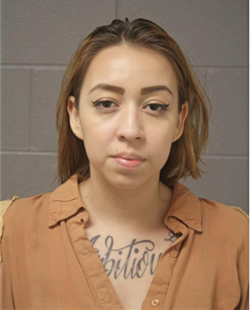 PRICILLA SOLIS-RENTERIA, Cook County, Illinois