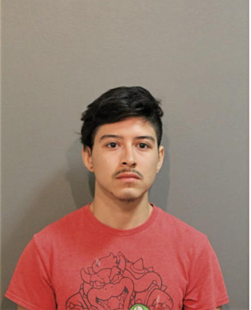 CHRISTIAN R SUAREZ, Cook County, Illinois