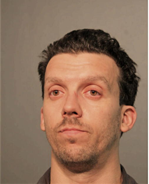 MICHAEL S WIATROWSKI, Cook County, Illinois