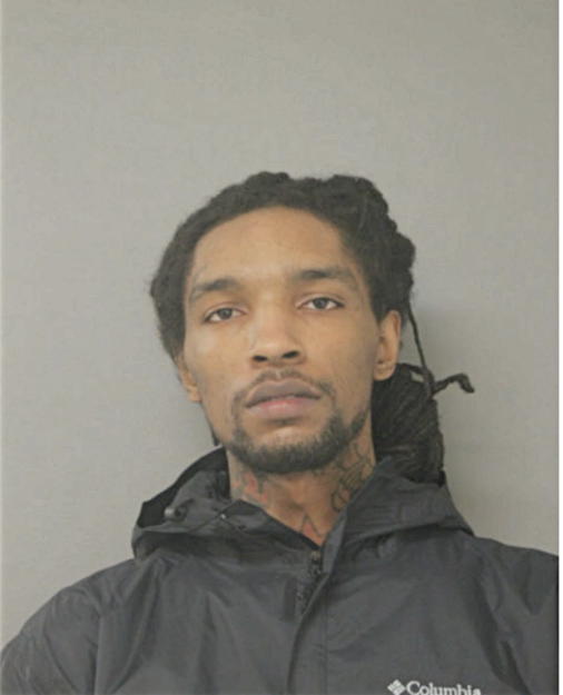 MICHAEL WILLIAM, Cook County, Illinois