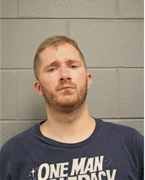 JOHN E ANTONIK, Cook County, Illinois