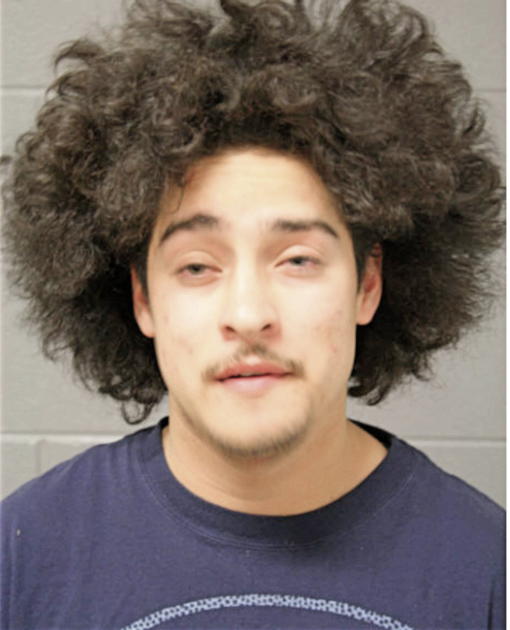 EFRAIN ARCEO, Cook County, Illinois