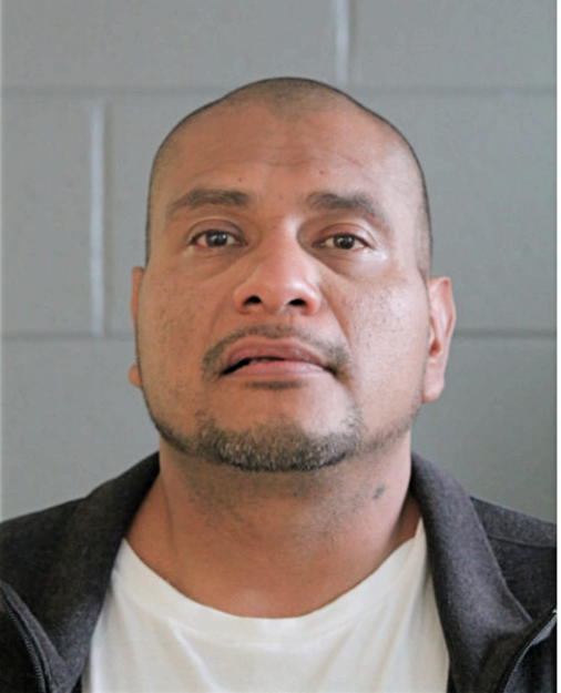 NOEL D BALBUENA, Cook County, Illinois