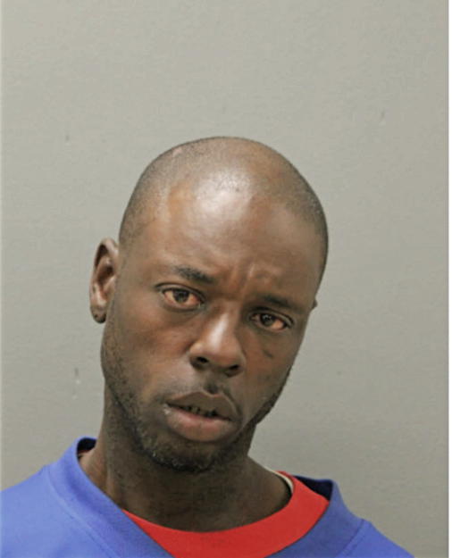 LARRY L BARNES, Cook County, Illinois