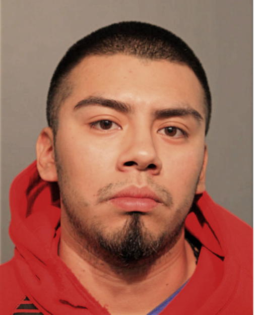MOISES CARRANZA, Cook County, Illinois